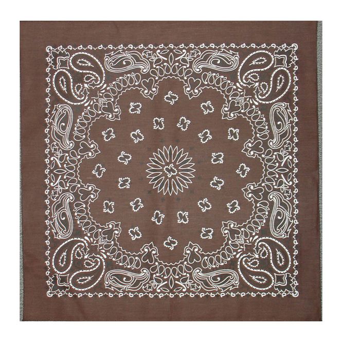 Hovedbilde Brown Paisley Bandana